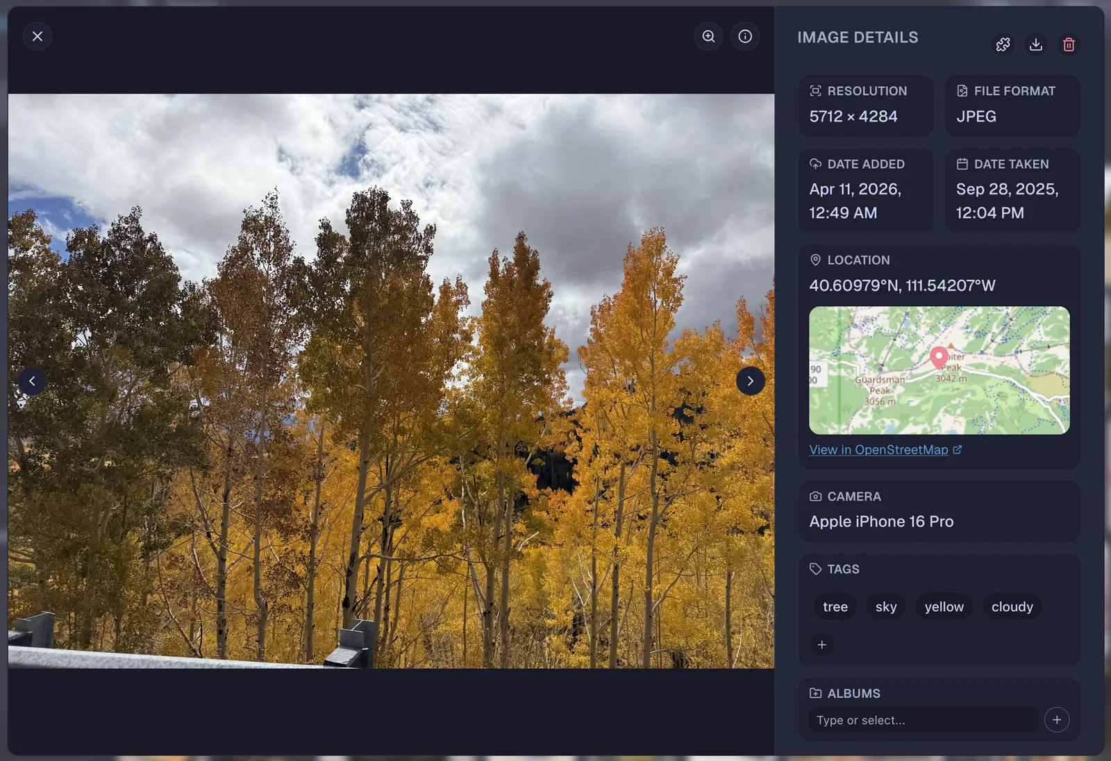 Screenshot of Image Preview Window